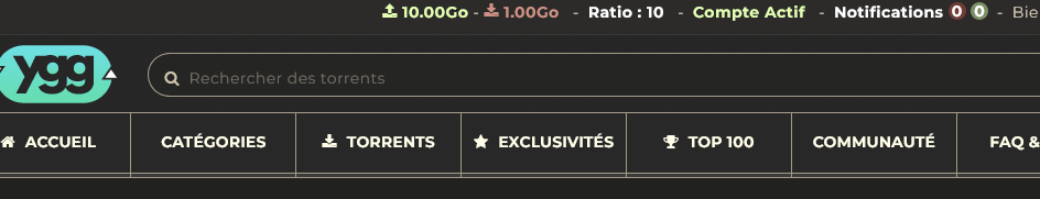 Screenshot 2025-04-29 at 21-19-20 Torrents du jour - Yggtorrent.png