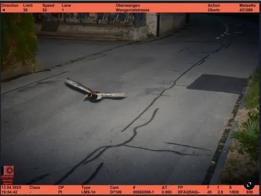 146b2209-d1c3-4768-8835-8e36694deadc-image.png