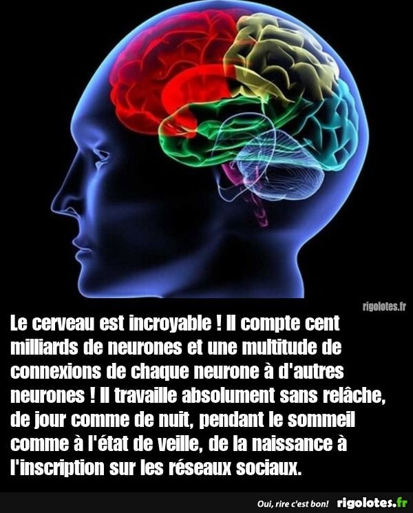 26ba22b1-e4a7-463a-940d-cf7440b4bc0a-1000004194.jpg