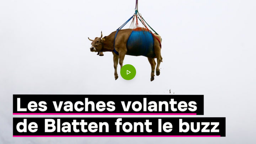 e8694a5e-bf3c-4fad-a18c-c5e1e6c0ca54-image.png