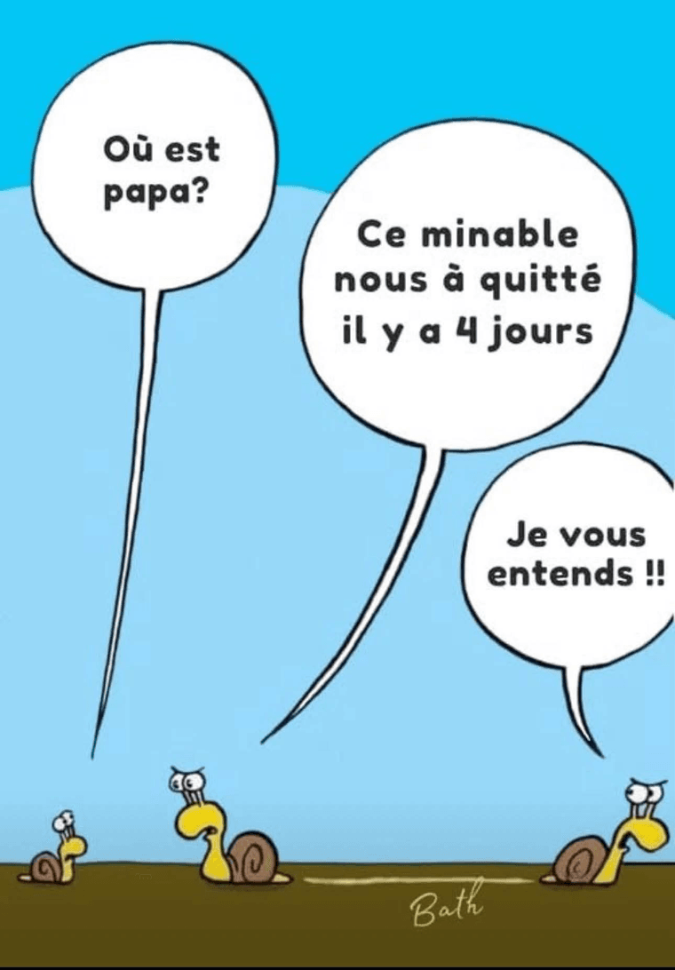 cfc918cc-373d-42a2-b30d-3ddda93d3b85-1749147482458.png