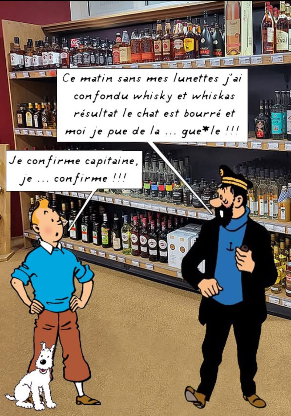 Tintin_WhiskyWhiskas.jpg