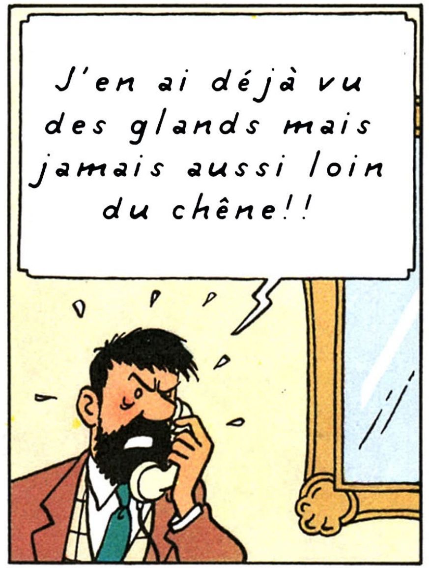 Tintin_GlandChene.jpeg