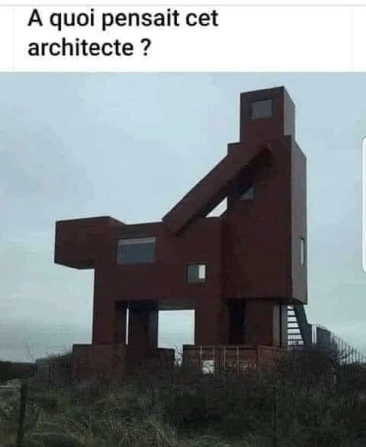 1000541342.jpg