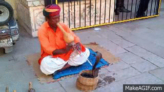 1000542290.gif