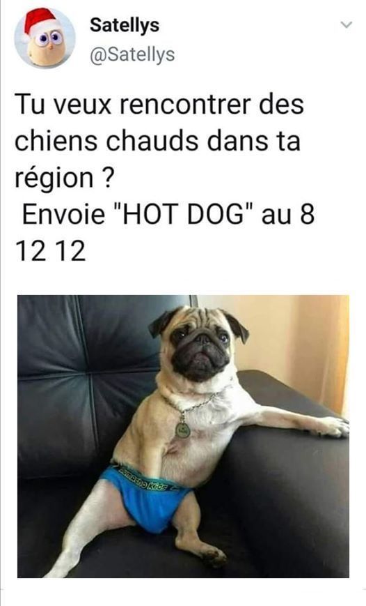 1000544321.jpg