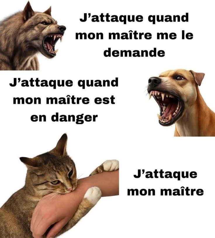 1000548666.jpg