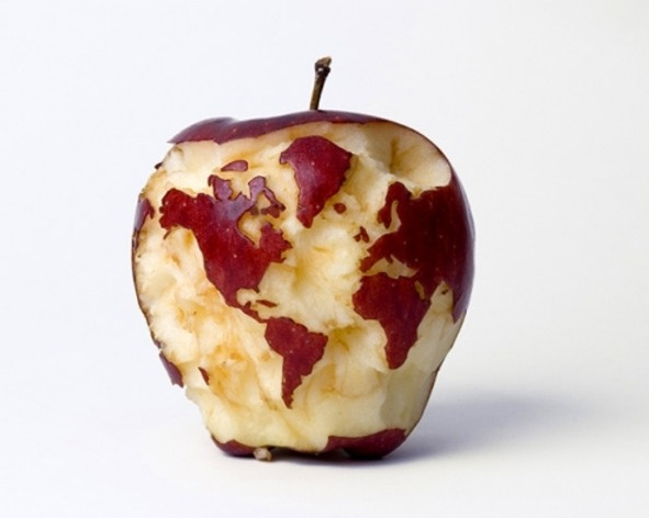 4b90d0f0-ebce-474f-9c7d-f2d7173a3af1-image.png