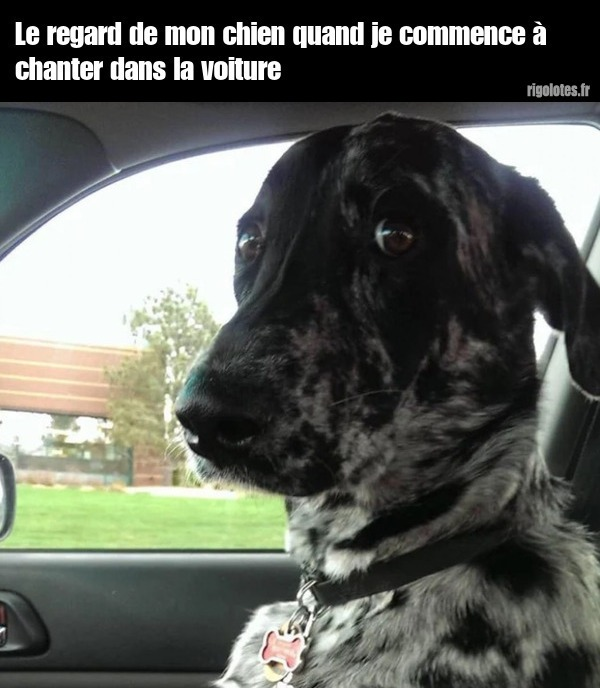 a1a9432d-02f8-4f1b-9c21-a2d8c1d2981d-image.png