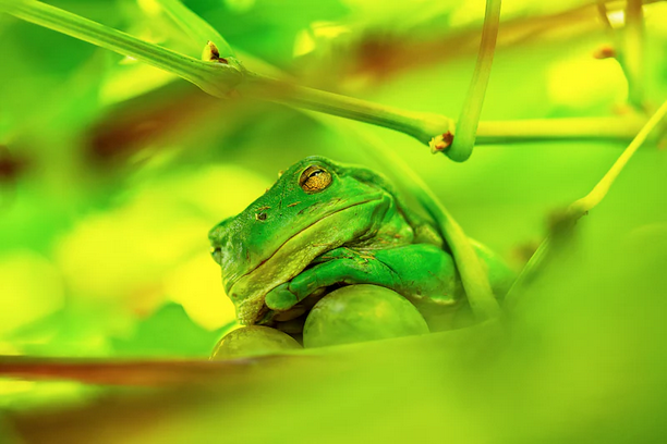 1a7f284d-f8b5-4342-beb4-b6339562d432-image.png