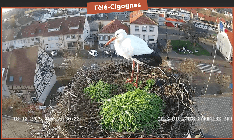 Capture d’écran 2025-12-18 à 15.31.10.png