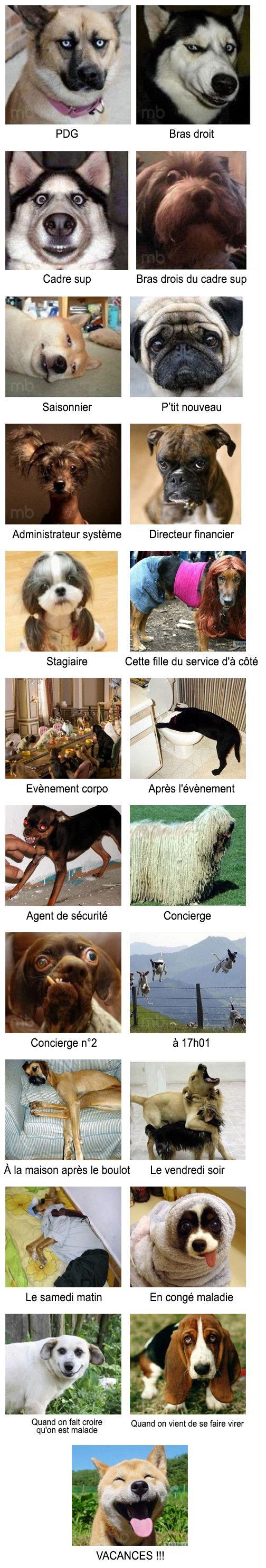 MinuteBuzz - The Happiest Media EVER !.jpg