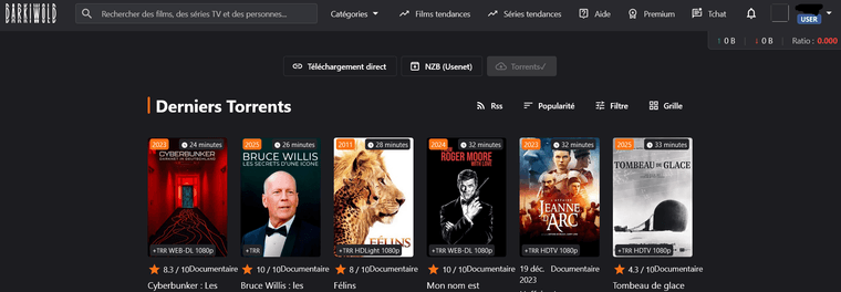 Screenshot 2026-03-06 at 08-35-23 DarkiWorld - Officiel #1 Site de téléchargement direct francophone.png