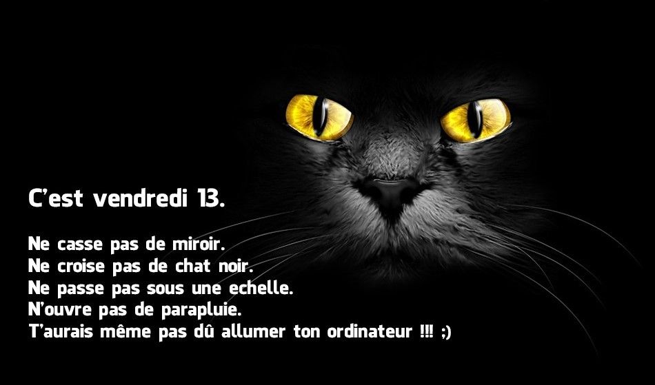 13 Th Friday blanck CAt.jpg
