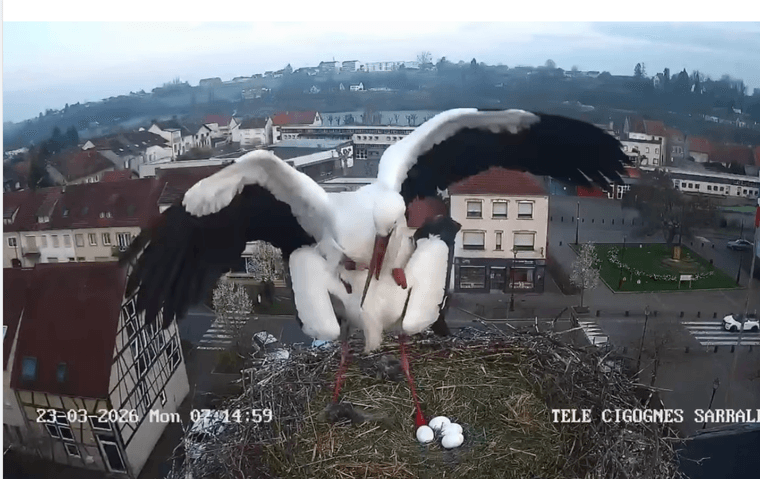 Capture d’écran 2026-03-23 à 16.13.22.png