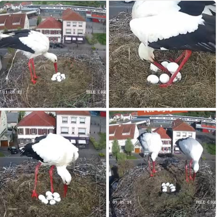 Capture d’écran 2026-04-21 à 13.05.51.png