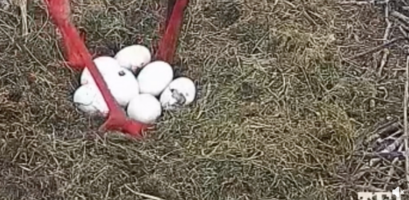 Capture d’écran 2026-04-21 à 13.11.16.png