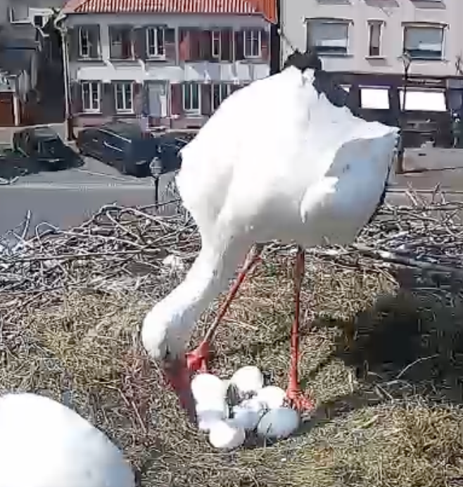 Capture d’écran 2026-04-21 à 14.29.53.png