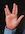 91a799cf-7bc9-4a74-9233-721cfca83397-Live Long & Prosper.jpg