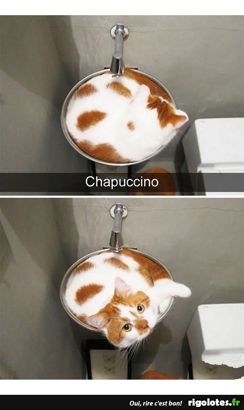 1000568057.jpg