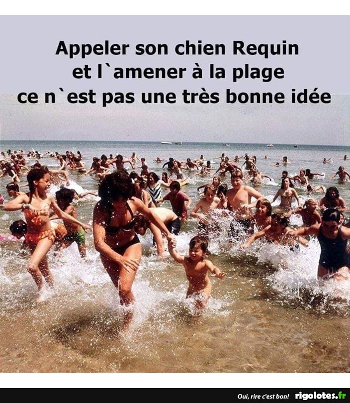 1000568092.jpg